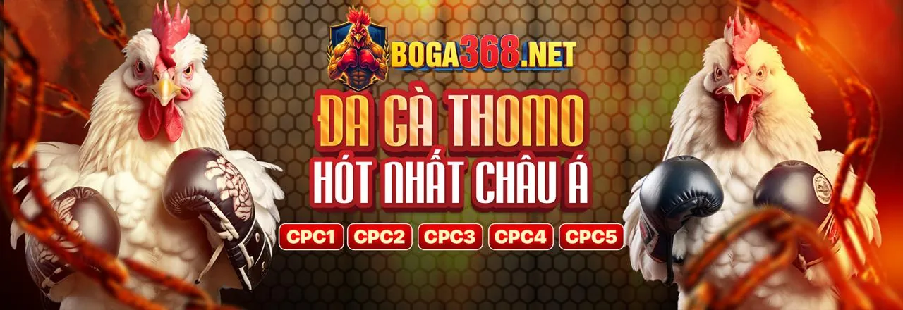 Cá cược thể thao đỉnh cao tại tải pp55