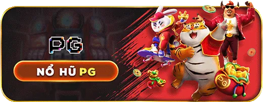 Người dùng trải nghiệm pp55 trên điện thoại di động